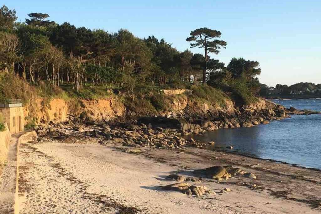 L'Olivier Du Cabellou, A 900 M Des Plages 孔卡尔诺 外观 照片